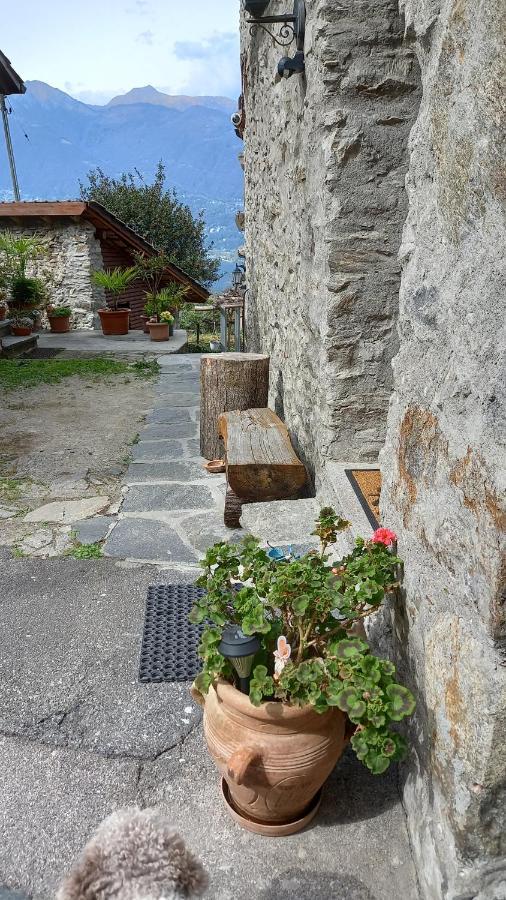 Casa Rustica Apartment *